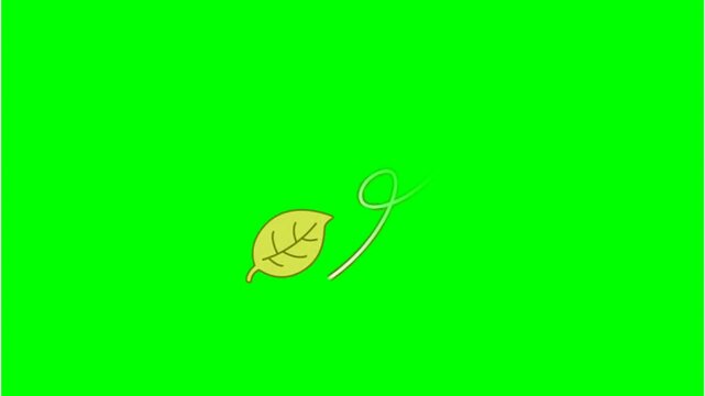 autumn leaf falling animation design, overlay on green screen chroma key 4k.
