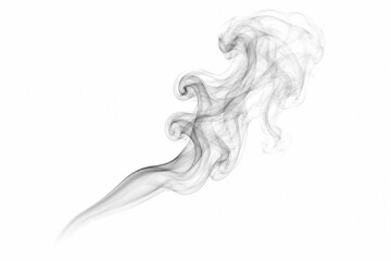 Fototapeta premium smoke swirls on white background