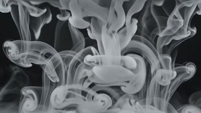 Abstract white ink cloud swirling in water creating elegant smoke like shapes against a dark black background