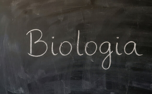 Biologia escrito em lousa escolar giz branco conceito de educacao ciencia e estudo