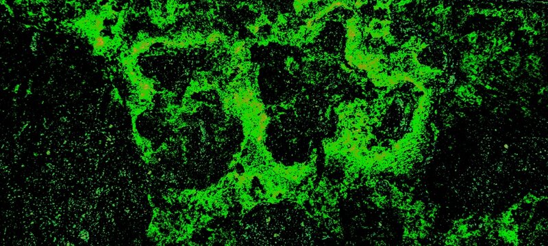 Black Neon Green Toxic Slime Radioactive Grunge Texture Background