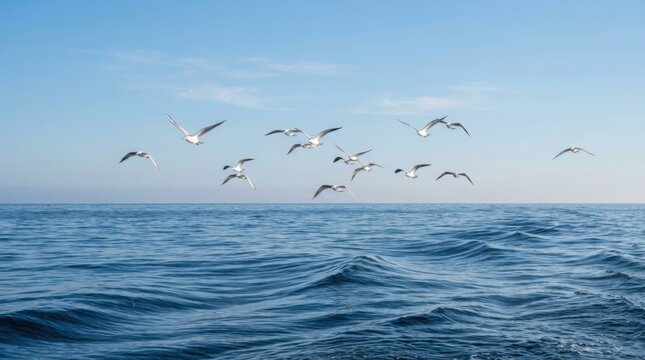 Flock of white seagulls flying in formation over calm blue ocean waves under clear sky