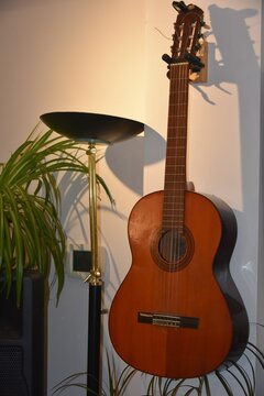 acoustic guitar on a wooden background