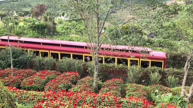 Red tourist funicular train operating on the track in Sapa, Vietnam, surrounded by lush green trees, mountains, and a beautiful public garden with blooming red flowers. High-quality travel footage.