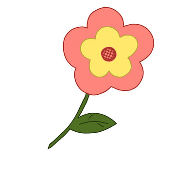 Flower and plant cute for desaign or walpaper 