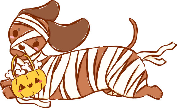 Cute Halloween Dachshund Mummy Sausage Dog with Bone Basket Cartoon Hand Drawn Illustration