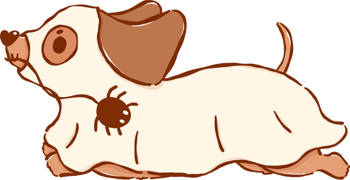 Cute Halloween Dachshund Ghost Sausage Dog Cartoon Hand Drawn Illustration