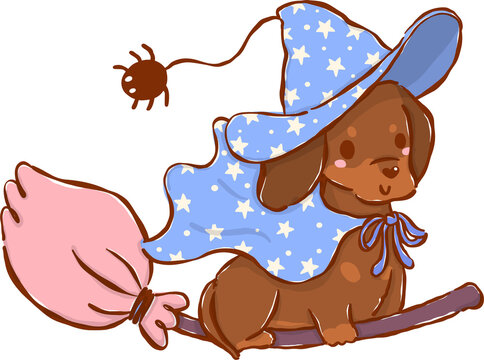 Cute Halloween Dachshund Witch, Sausage Dog  Flying on Broomstick Cartoon Hand Drawn Illustration