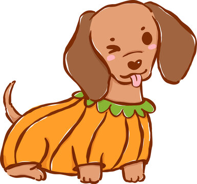 Cute Halloween Dachshund Dog in Pumpkin Costume Sitting Cartoon Hand Drawn Illustration