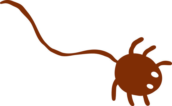 Decorative Brown Spider Character Cartoon Hand Drawn