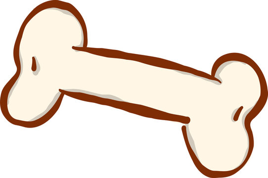 Cute White Bone Hand Drawn Illustration
