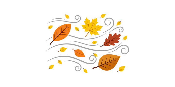 Autumn leaves blowing in windy weather seasonal foliage flying through air with swirling air currents on transparent background image.