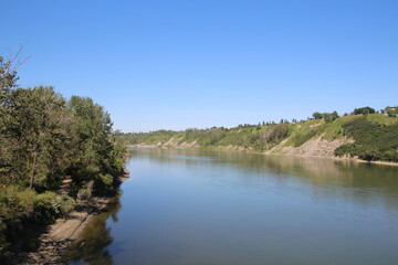 Obraz premium the river in the forest