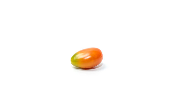 A single small, oval tomato showing a gradient color transition from green to orang