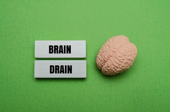 Wooden blocks with text "BRAIN DRAIN" next to a human brain model on a green background. Representing brain drain, human capital flight, and loss of skilled intellect