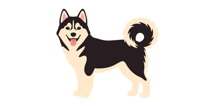 Alaskan malamute dog cartoon illustration black and white fur with happy expression standing on all fours.