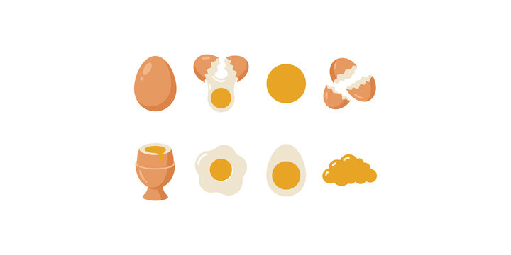 Illustrations of various egg preparations including whole, cracked, fried, and boiled eggs for food and culinary themes.