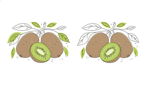 Fresh green kiwi fruit illustration featuring whole fruits and sliced halves with leaves on white background.