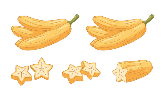 Yellow carambola starfruit illustration showing whole fruit clusters sliced pieces and half cut on white.