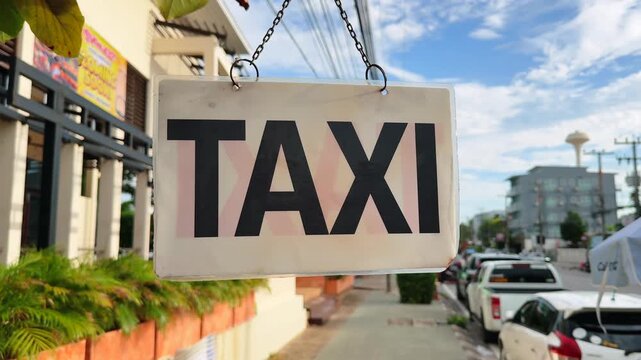 Homemade Taxi Sign Hanging From a Tree Branch on City Street