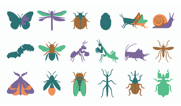 Colorful Garden Insect Silhouette Collection with Butterfly Dragonfly and Snail