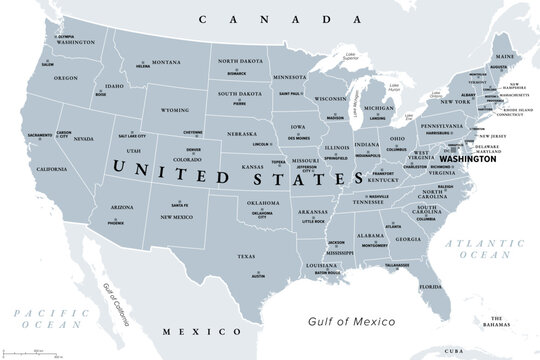 United States mainland, gray political map with capitals. The Contiguous United States, consisting of 48 adjoining U.S. states and the District of Columbia, in North America. Illustration. Vector