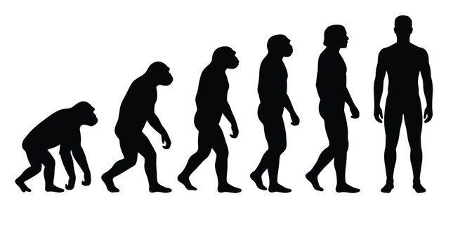 Human evolution progress showing black silhouette figures in a detailed vector graphic design flat style illustration