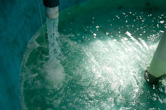 Recirculating Aquaculture System RAS Water Flow and Filtration for Sustainable Fish Farming