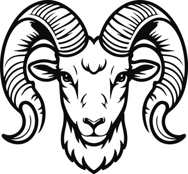 A single stylized Aries ram head with elegant curled horns and strong symmetrical facial contours, ultra clean vector line art, bold black outline only, thick stroke, single object, minimalist, center