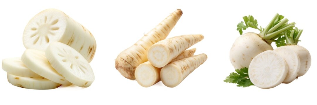 Fresh lotus root parsnip white radish roots set isolated on transparent background