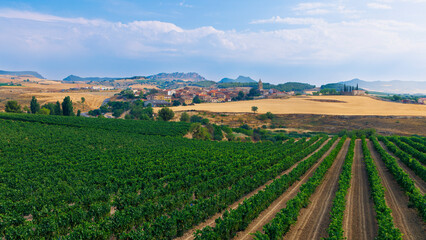 Fototapeta premium Aerial view of green vineyard rows with spanish village and mountains in background- La Rioja province