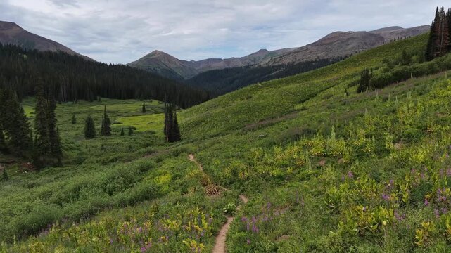 mountain landscape in the summer with trails