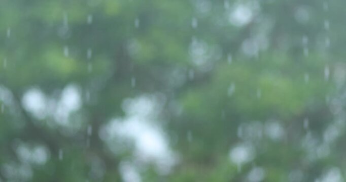 Abstract green bokeh background with falling rain and soft focus. Blurred natural foliage creates a fresh, for peaceful atmosphere background