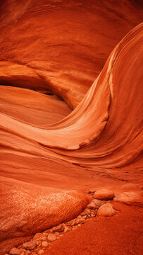 Beneath the bright sun, red rock formations create smooth curves and patterns in the canyon. The area is dry with few plants and scattered stones on the ground