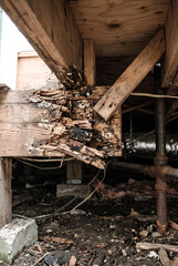 Fototapeta premium Close up of floor joist damage visible from a crawl space below