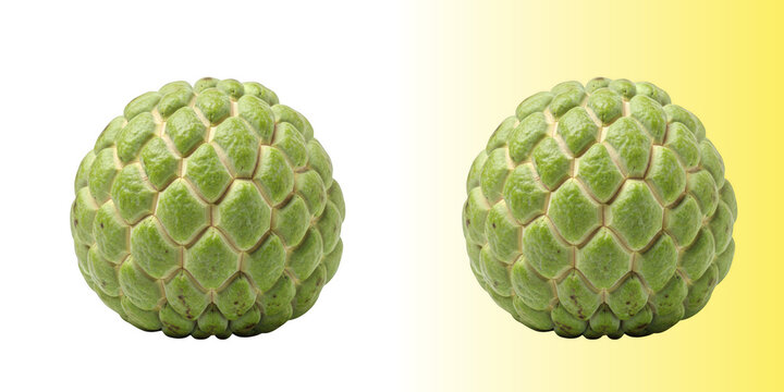 Fresh whole cherimoya fruit isolated on transparent background