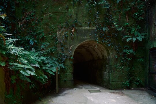 猿島の苔むした要塞跡トンネル入口 神奈川県横須賀市
