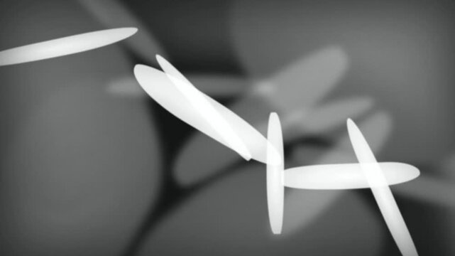 Glowing white oval shapes drift in a seamless loop