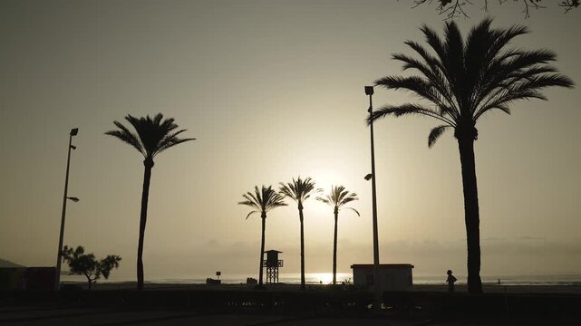Silhouettes of palms, beach infrastructure against hot scorching rising sun. Silhouette of runner jogging on sandy beach during morning, wide shot. Sports activity in cool time during extreme heat.