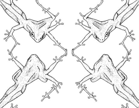 Seamless pattern of hand-drawn frogs with stippled shading in line art style