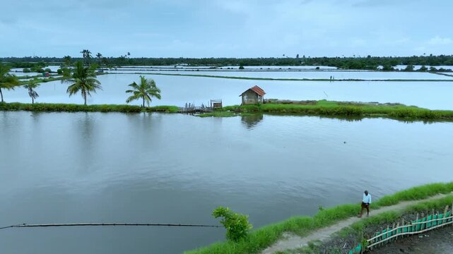 Aerial drone view of Kadamakudy backwaters in Ernakulam, Kerala, Kadamakkudy Islands is an island suburb of the city of Kochi in the Indian state of Kerala. Known as the Kuttanad of Kochi