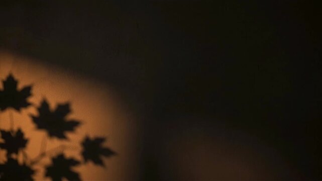3D animated motion graphic of autumn leaves shadow swaying gently on a warm illuminated wall