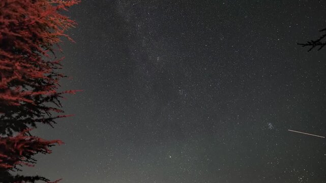 Perseid meteor shower timelapse showing shooting stars streaking across a clear night sky during the August 2026 peak.