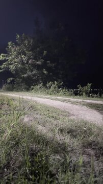 Young Man Jogging on a Trail at Night