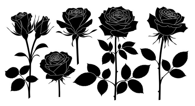 Collection of elegant rose vector illustrations featuring detailed petals and green leaves, isolated on a white background for wedding invitations and floral graphic design layouts.