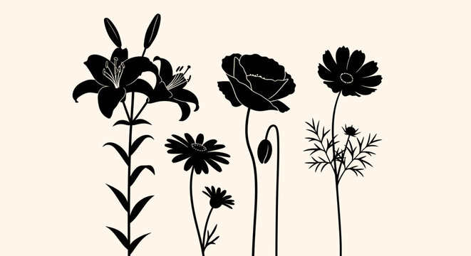 Minimalist clean flat vector silhouette on a solid white background, high-resolution digital graphic for versatile design use, blank canvas conceptual art, minimalist backdrop.