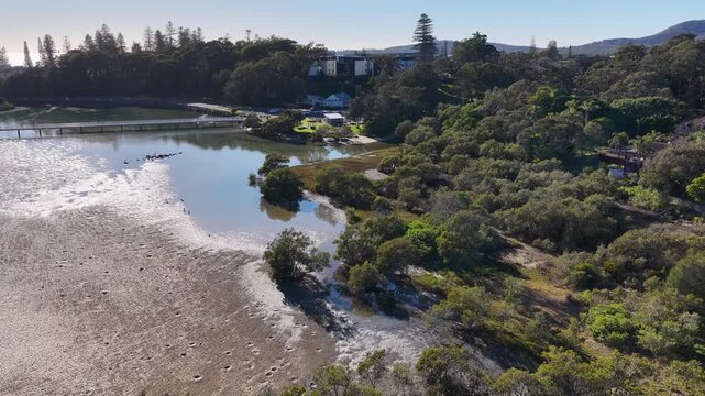 Aerial View of Coastal Mangroves and Estuary in South West Rocks
