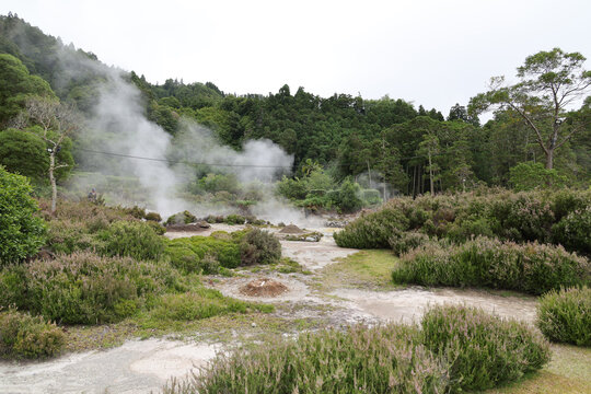 The Vale das Furnas-the Furnas Valley-on the Portuguese Azores island of Sao Miguel is the heart of the island's active volcanism