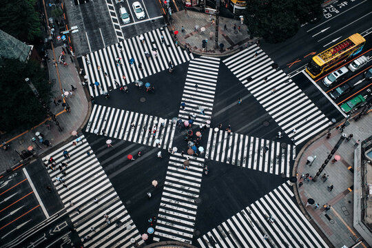 Busy Crowds Crossing Streets