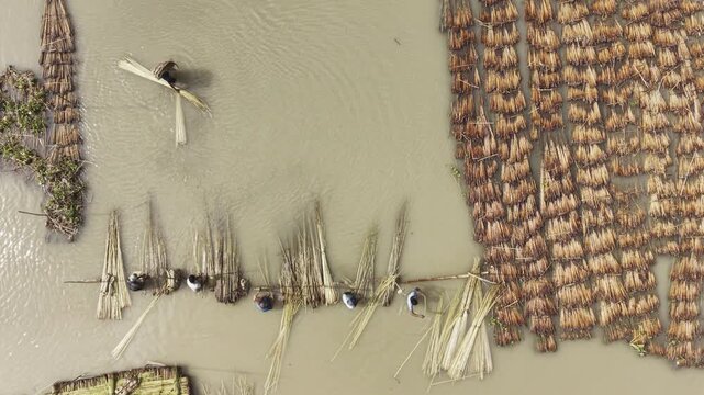 Forward drone footage over agricultural workers retting harvested jute in rural Bangladesh, revealing numerous jute bundles in water during traditional natural fiber processing.